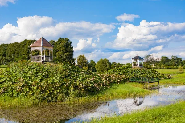 Prachtig Park Wih Vijver Buurt Van Annakerk Mosar Wit Rusland — Stockfoto