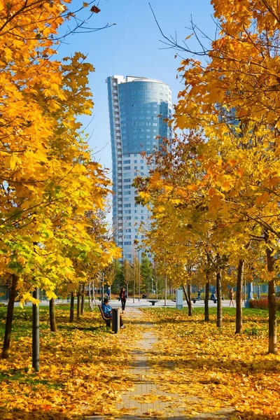 Moskva Ryssland Oktober 2018 New City Landscape Park Khodynskoe Fält — Stockfoto