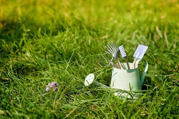 Watering Can Garden Tools Grass — Stock Photo, Image