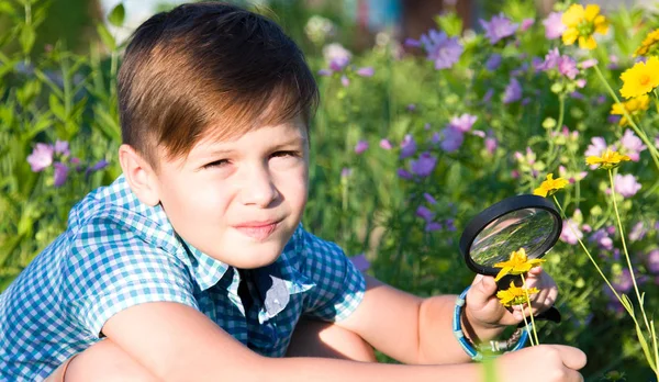 Niño Con Lupa Jardín Verano — Foto de Stock