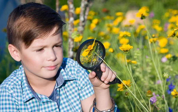 小男孩用放大镜在夏天庭院里 — 图库照片