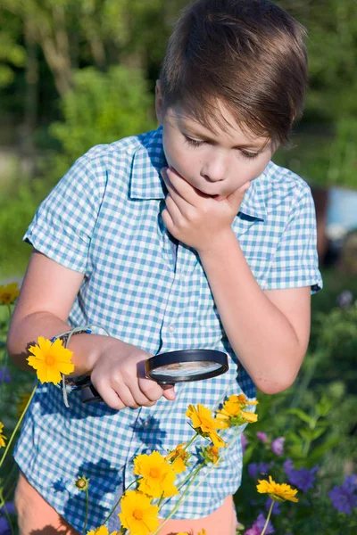 Ragazzo Scioccato Con Lente Ingrandimento Estate — Foto Stock