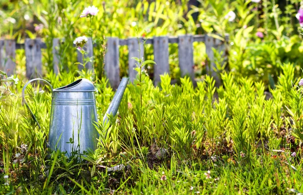 Steel Water Can Flowers Summer Garden — Stock Photo, Image