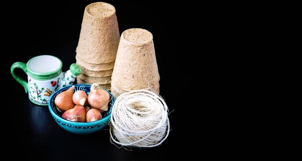 Torftöpfe Grober Faden Wasserkanne Und Tulpenzwiebeln Landung Des Keimlings — Stockfoto