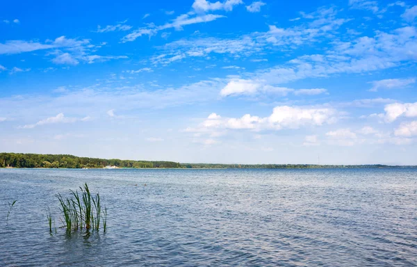 Naroch Найбільше Озеро Білорусі Прибережній Зоні Naroch Популярним Місцем Відпочинку — стокове фото