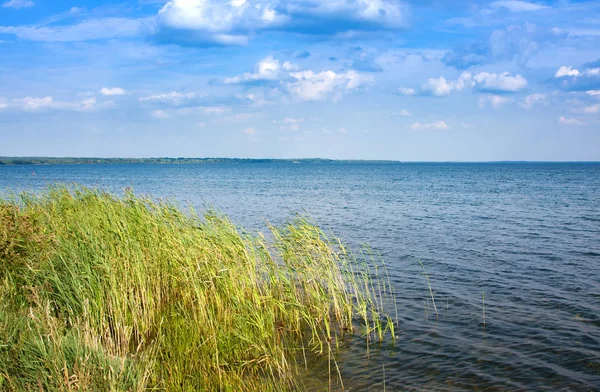 Naroch Largest Lake Belarus Coastal Zone Naroch Popular Destination Rest — 图库照片