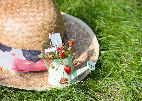 Watering can, wild strawberry, straw hat and tools — Stock Photo, Image