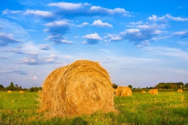Saman balyası. Gökyüzü tarımsal alan. Çiftlik arazisindeki kırsal doğa