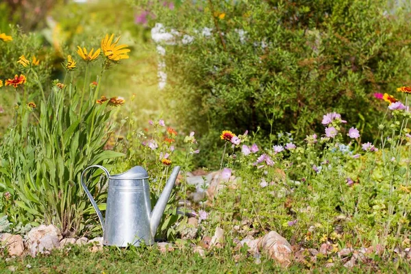 Lata de agua de acero contra las flores en el jardín de verano —  Fotos de Stock