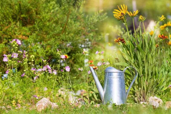 L'acqua d'acciaio può contro fiori nel giardino estivo — Foto Stock