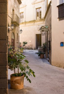 Bölge benzersiz mimari kompleks Poble Espanyol nerede kopya ile bilinen ve güzel evler ülkenin İspanyol köy evleri