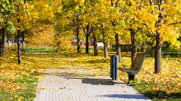 Bench in park, golden autumn, sunny day — Stock Photo, Image