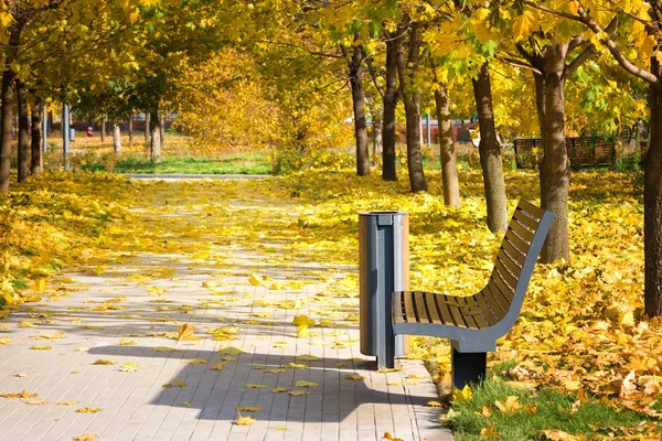 Bench in park, golden autumn, sunny day — Stock Photo, Image