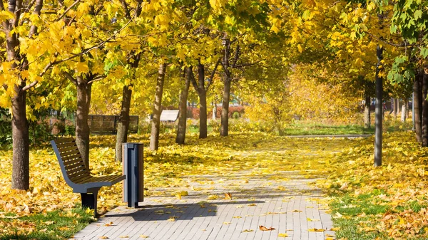 Bench in park, golden autumn, sunny day — Stock Photo, Image
