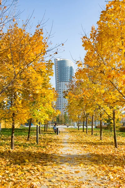 Moscow, Russia - October 18, 2018: New city landscape park "Khodynskoe field" and modern skyscrapers, Moscow, Russia. It opened in september of 2018. Total area of park is about 25 hectares — Stock Photo, Image