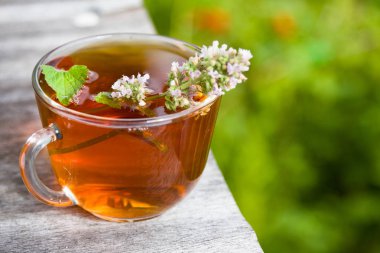 Yaz aylarında melissa açık taze lezzetli sıcak çay. Kopya alanı. Tıp sağlıklı