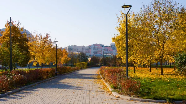 City landscape park "Khodynskoe field" and modern skyscrapers, Moscow, Russia. It opened in september of 2018. — Stock Photo, Image