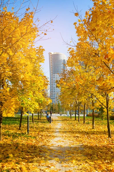 New city landscape park "Khodynskoe field" and modern skyscrapers, Moscow, Russia. It opened in september of 2018. Total area of park is about 25 hectares — Stock Photo, Image