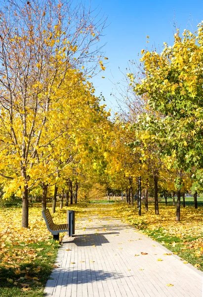 Bench in the park, golden fall, sunny day — Stock Photo, Image