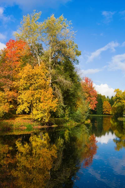 Autumn foliage in Pavlovsky park, Pavlovsk, Saint Petersburg — Stock Photo, Image