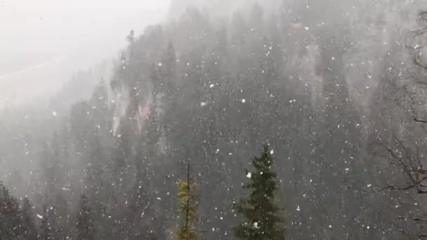 バイエルン アルプス ドイツの大雪 — ストック動画