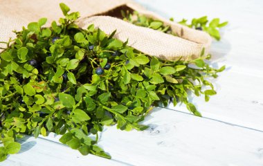 Yaban mersinli bez poşet içinde tahta üzerinde