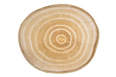 Genç ahşap, kesit beyaz huş ağacı