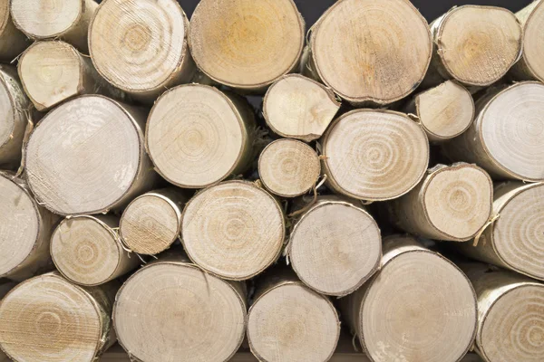 Zásobník Mladého Březového Dřeva Closeup — Stock fotografie