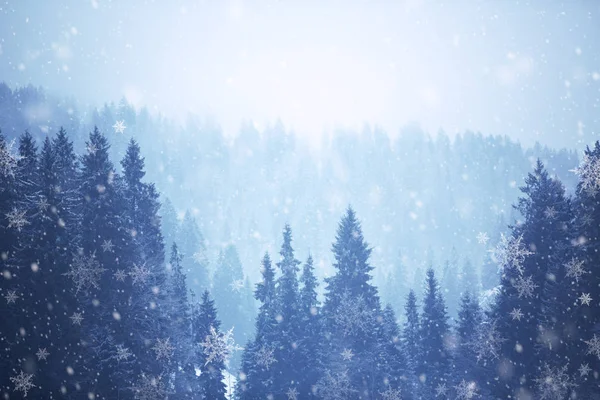 Winter Berglandschap Met Naaldbomen Sneeuw Vallen — Stockfoto