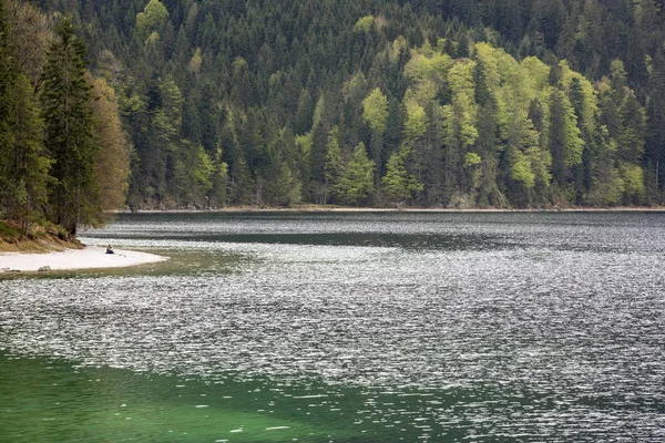 Jaro Jezero Eibsee Bavorsku Německo — Stock fotografie