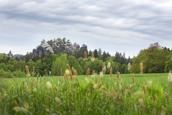 Zobacz Formacji Skalnej Gamrig Terenie Szwajcarii Saksońskiej Niemczech — Zdjęcie stockowe