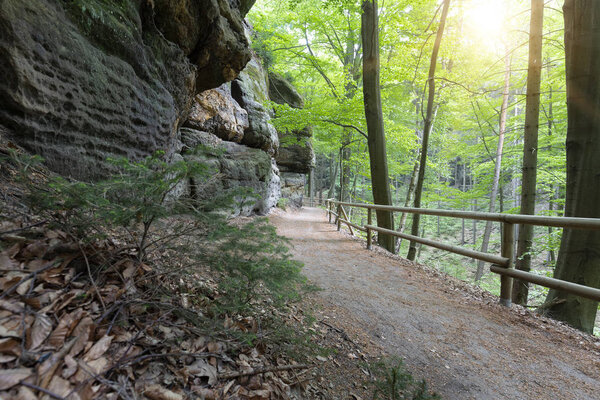 Hiking in the Saxon Switzerland area in Czechia, Europe