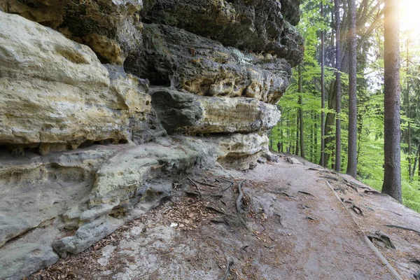 Mendaki Daerah Saxon Swiss Czechia Eropa — Stok Foto