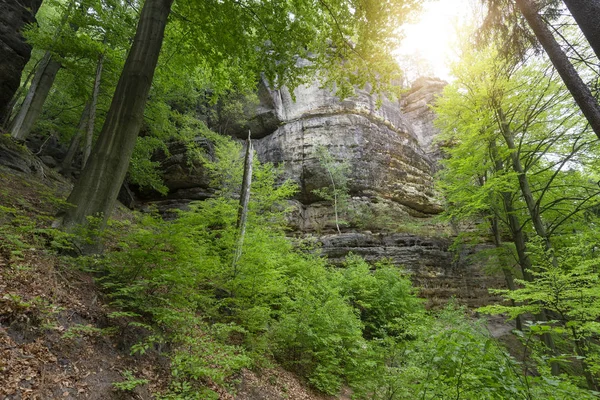 Vandring Området Sächsische Schweiz Tjeckien Europa — Stockfoto