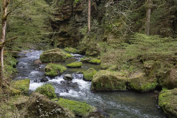 Wandelen Tsjechië Europa — Stockfoto