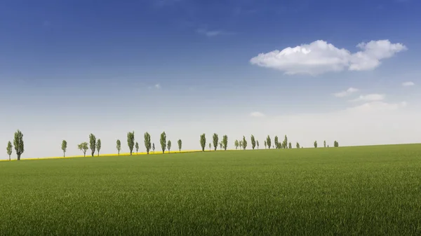 Spring Landscape Saxon Switzerland Trees — Stock Photo, Image