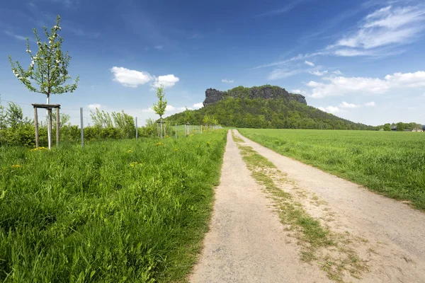 Vista Sulla Formazione Rocciosa Lilienstein Nella Svizzera Sassone — Foto Stock