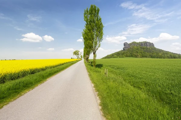 Kijk Lilienstein Rotsformatie Saksisch Zwitserland — Stockfoto