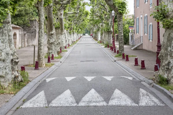 Carretera Con Plátanos Viviers Francia —  Fotos de Stock