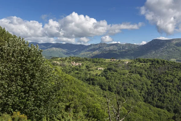 Vue Panoramique Paysage Typique Quartier Ardèche France — Photo