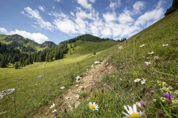 Randonnées Dans Chaîne Montagnes Mangfall Bavière Allemagne — Photo