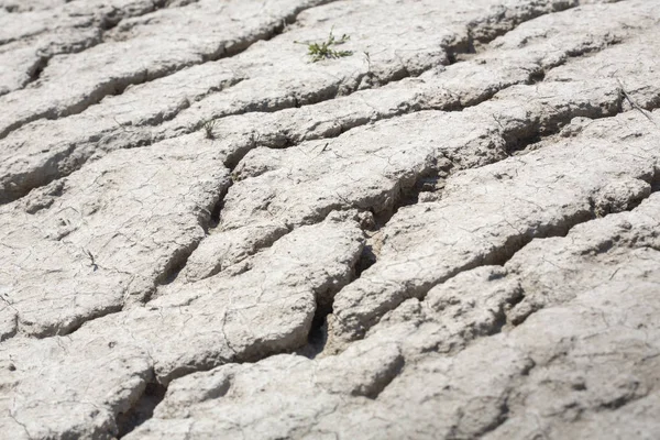 Cracked Earth Drought — Stock Photo, Image