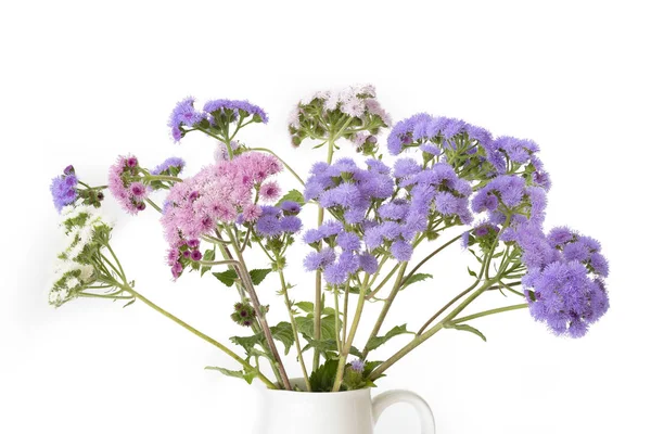 Bouquet Ageratum Houstonianum Flowers White — Stock Photo, Image