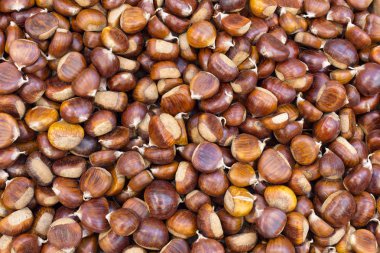 Olgun ve çiğ kestane, portre