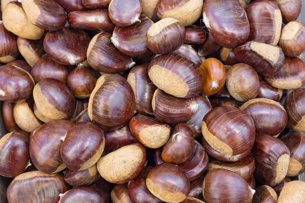 Castagne Mature Crude Primo Piano — Foto Stock