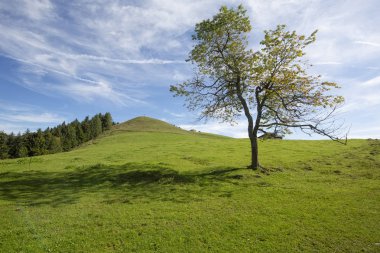 Tyrol dağlar, Avusturya, Karspitze tepe hiking