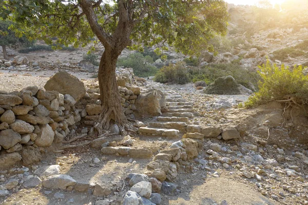 Trilha Caminhadas Sul Creta Grécia — Fotografia de Stock