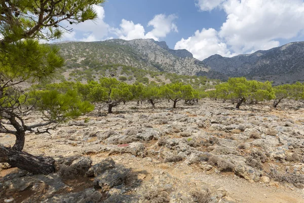 Landscape Southern Coast Crete Greece — Stock Photo, Image
