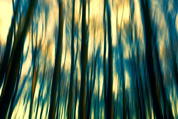 Beech Tree Forest Winter Blurred Intintentional Camera Movement Icm — 스톡 사진
