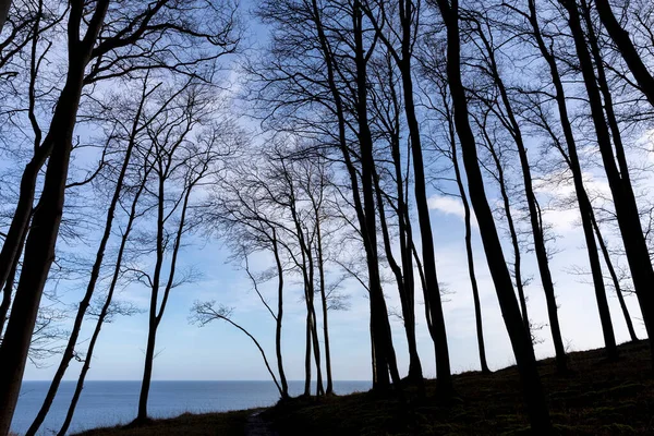 Haya Invierno Isla Ruegen Alemania Disparada Con Luz Fondo —  Fotos de Stock